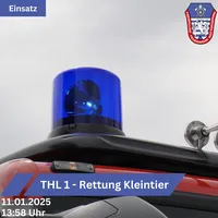 Einsatz THL Kleintierrettung 11.01.2025.png