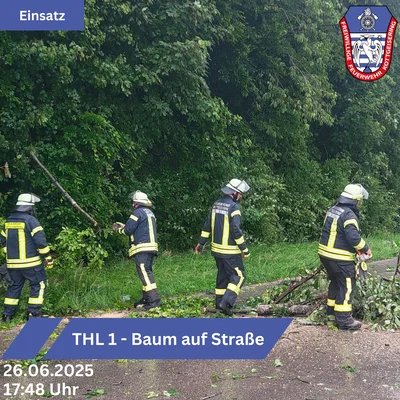 Einsatz THL klein Baum auf Straße 26.06.2025.png